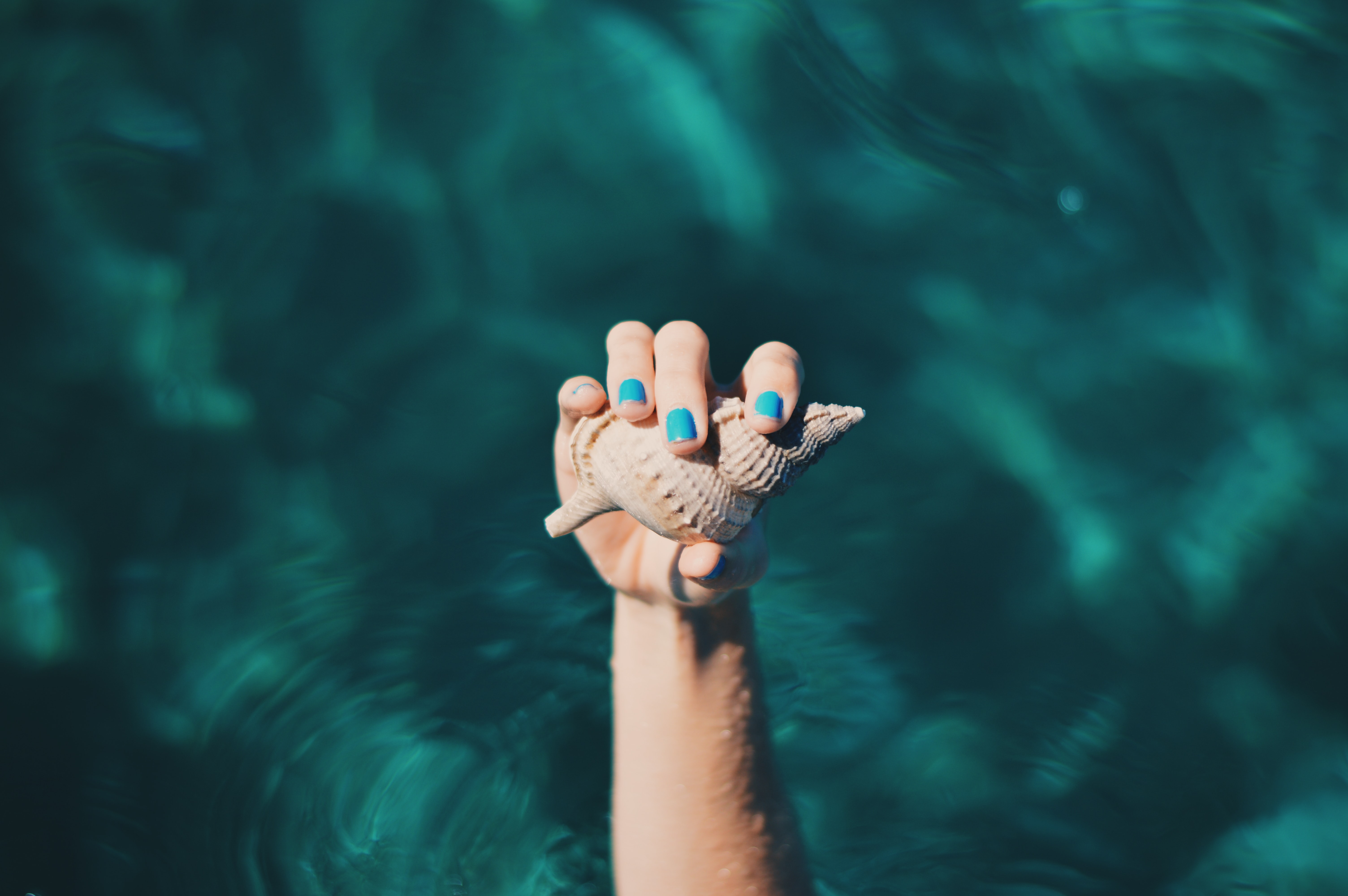 hand with blue nails holding a shell